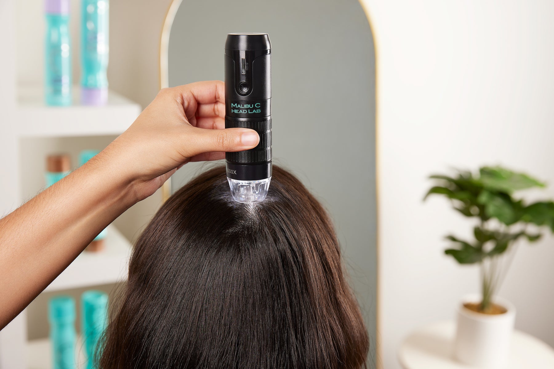 Created for the salon. Made relevant at home.